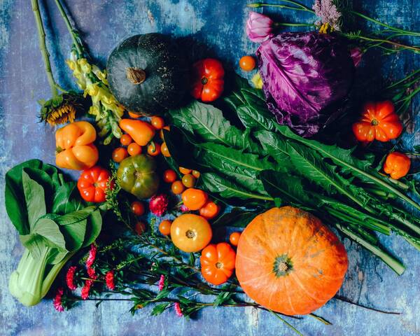 Best Vegetables To Plant In Spring
