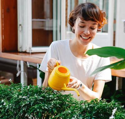 Watering Plants in Summer