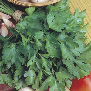 Herb Garden Gifts