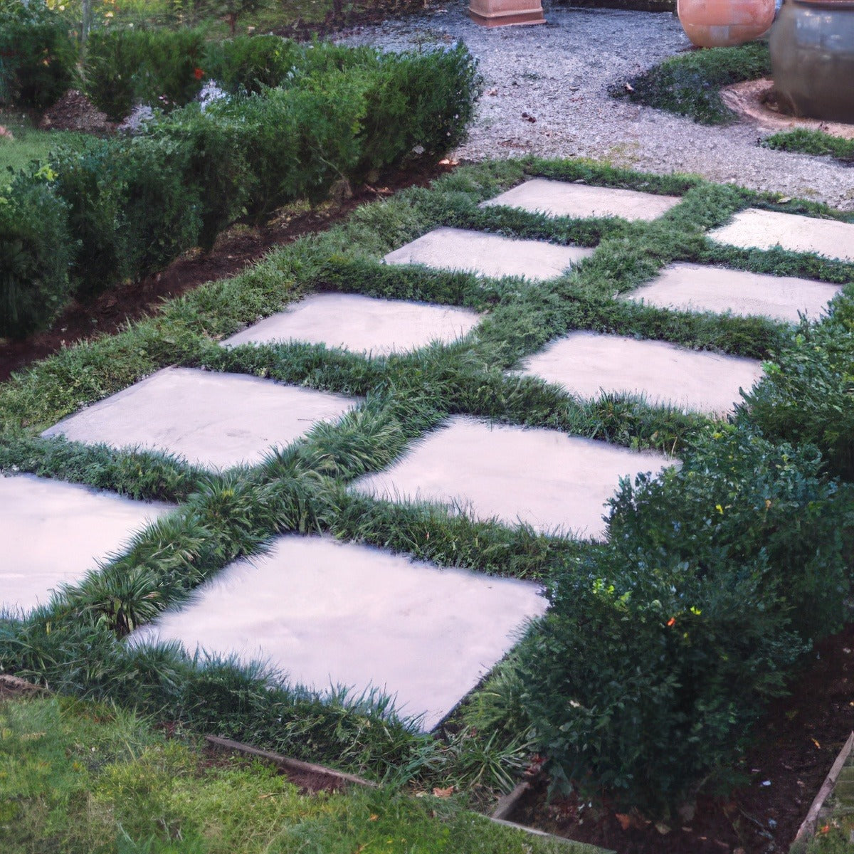 Easy Lawn Alternatives Australia | Greener Gardens With Less Maintenance