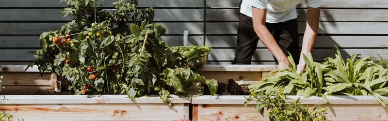 Fun and Unusual Gardening Gifts
