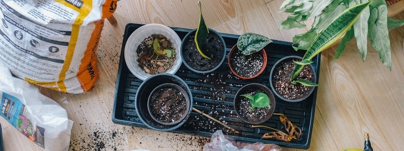Gifts for Vegetable Gardeners
