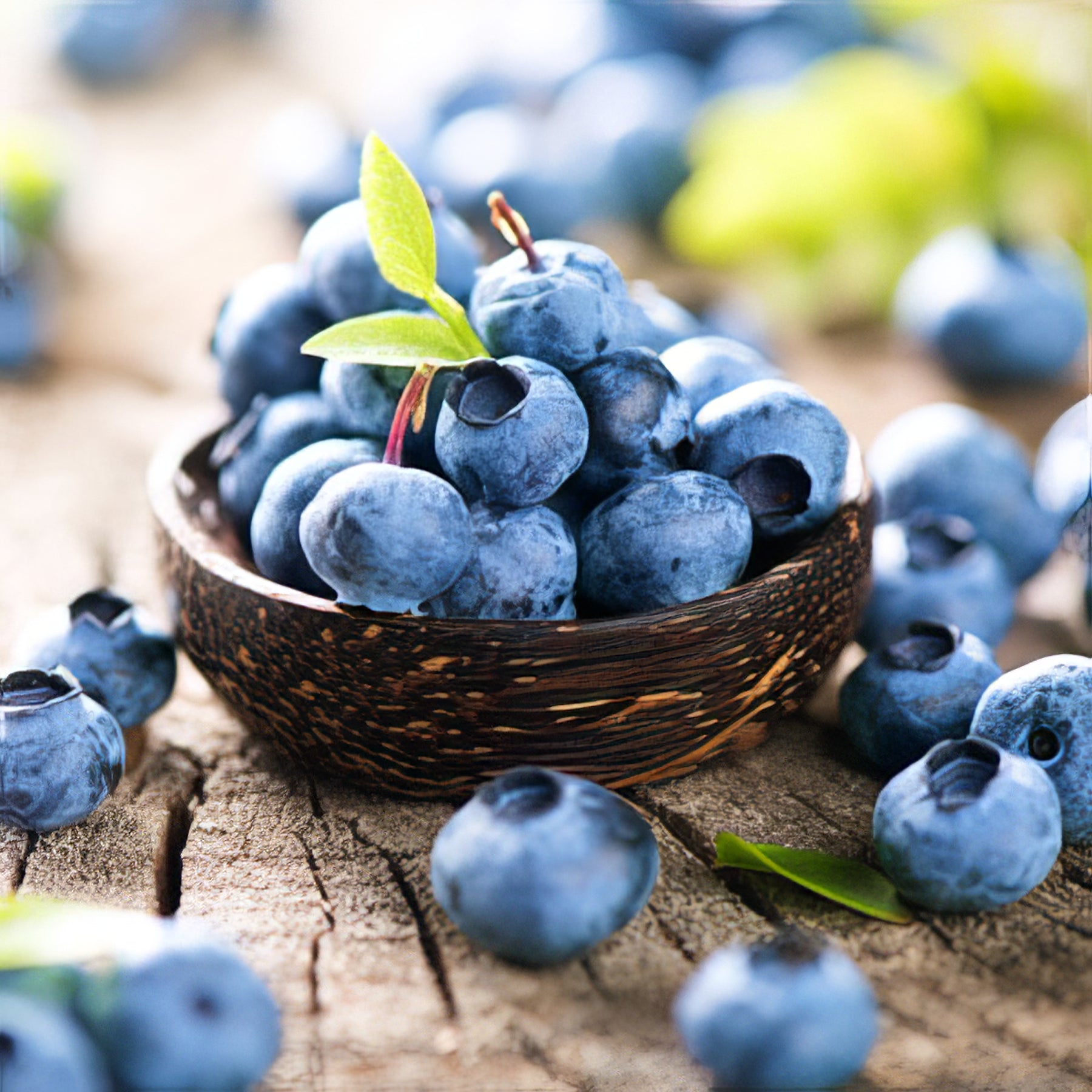 Blueberries - Collection Image - Garden Express