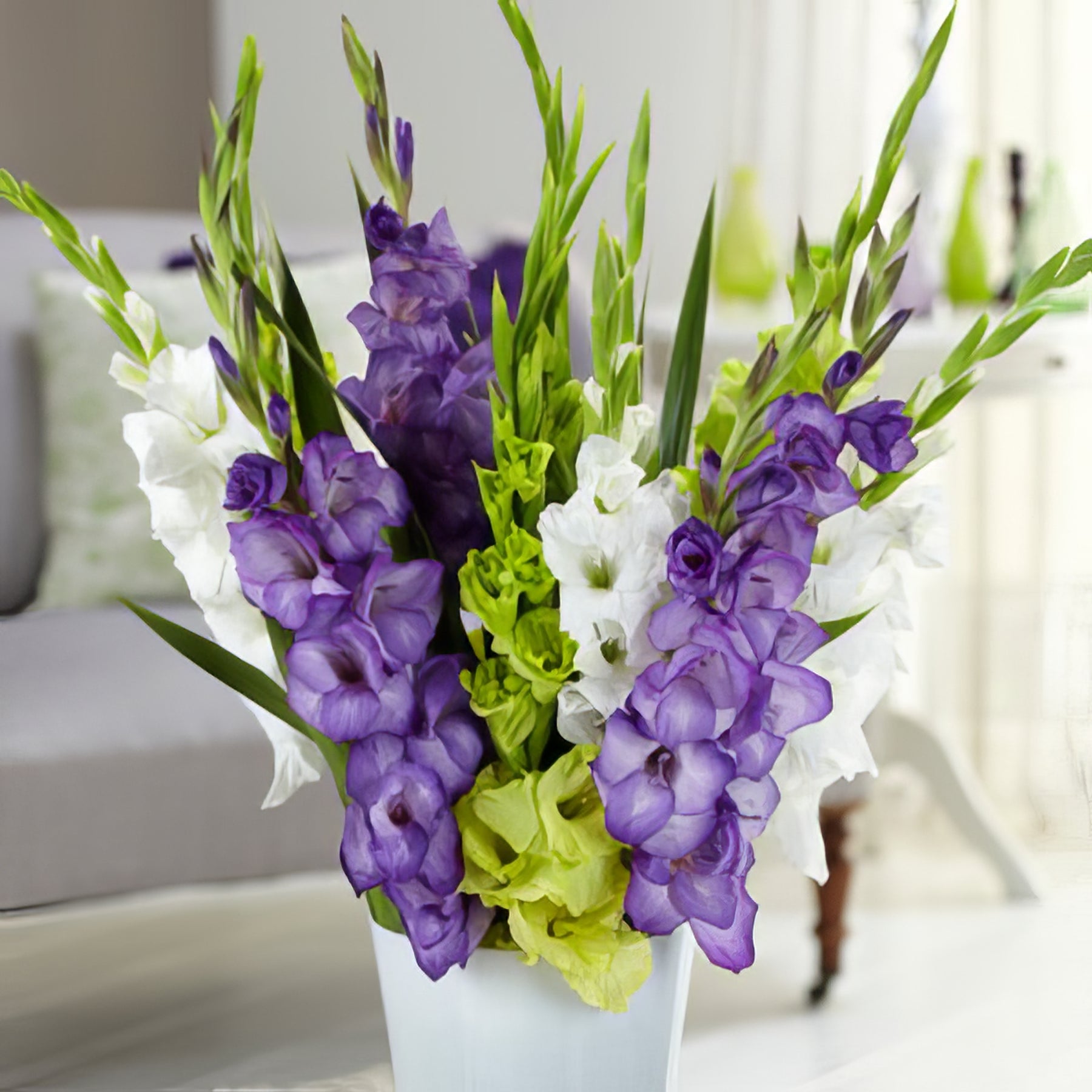 Bulbs - Summer Flowering - Collection Image - Garden Express