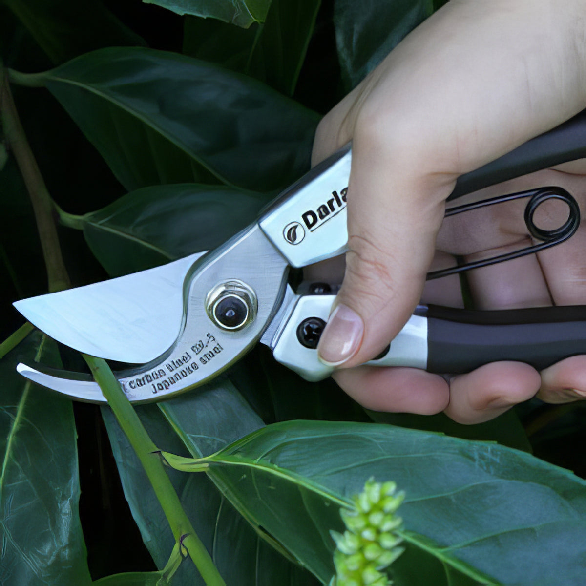 Darlac Tools - Collection Image - Garden Express