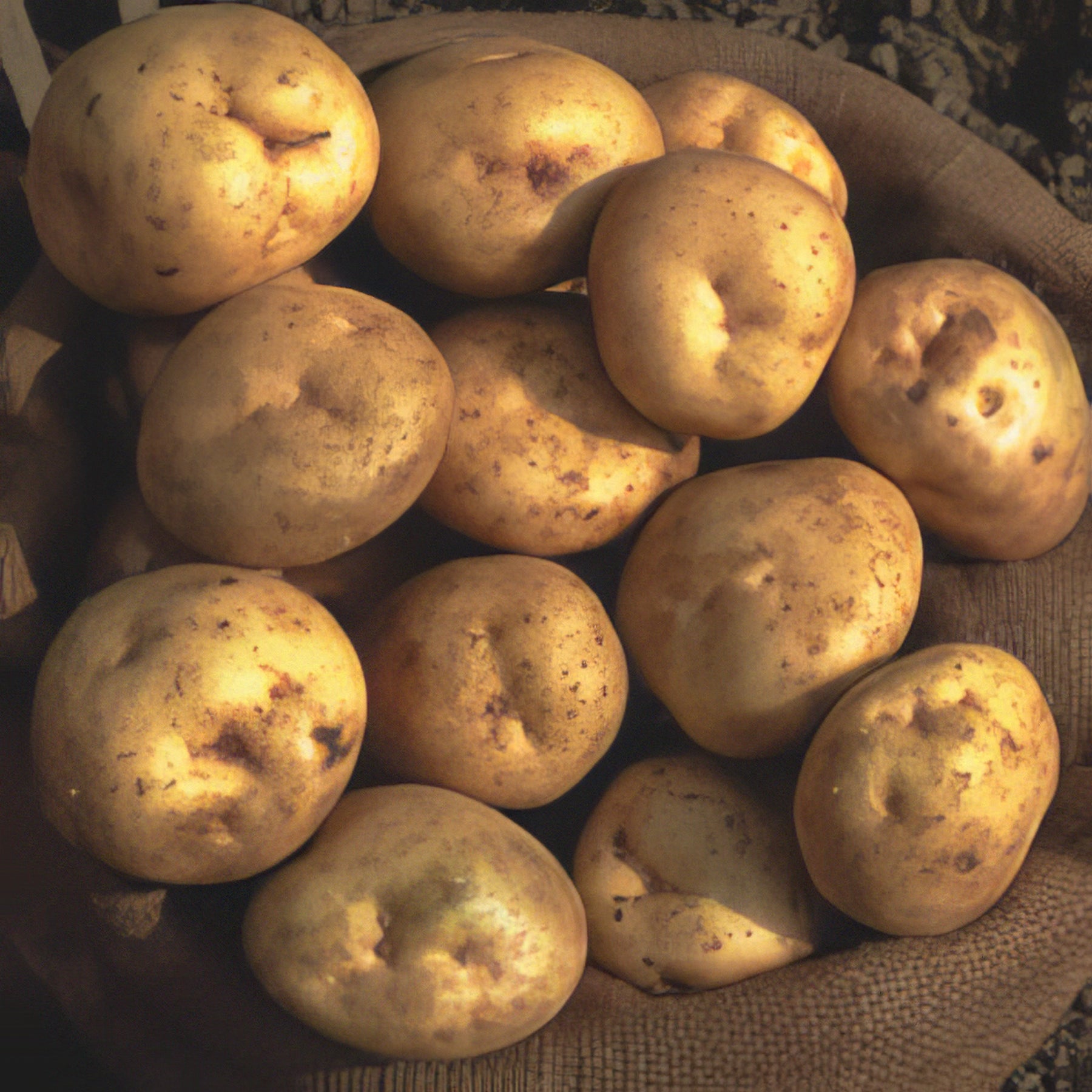 Edible Produce - Collection Image - Garden Express