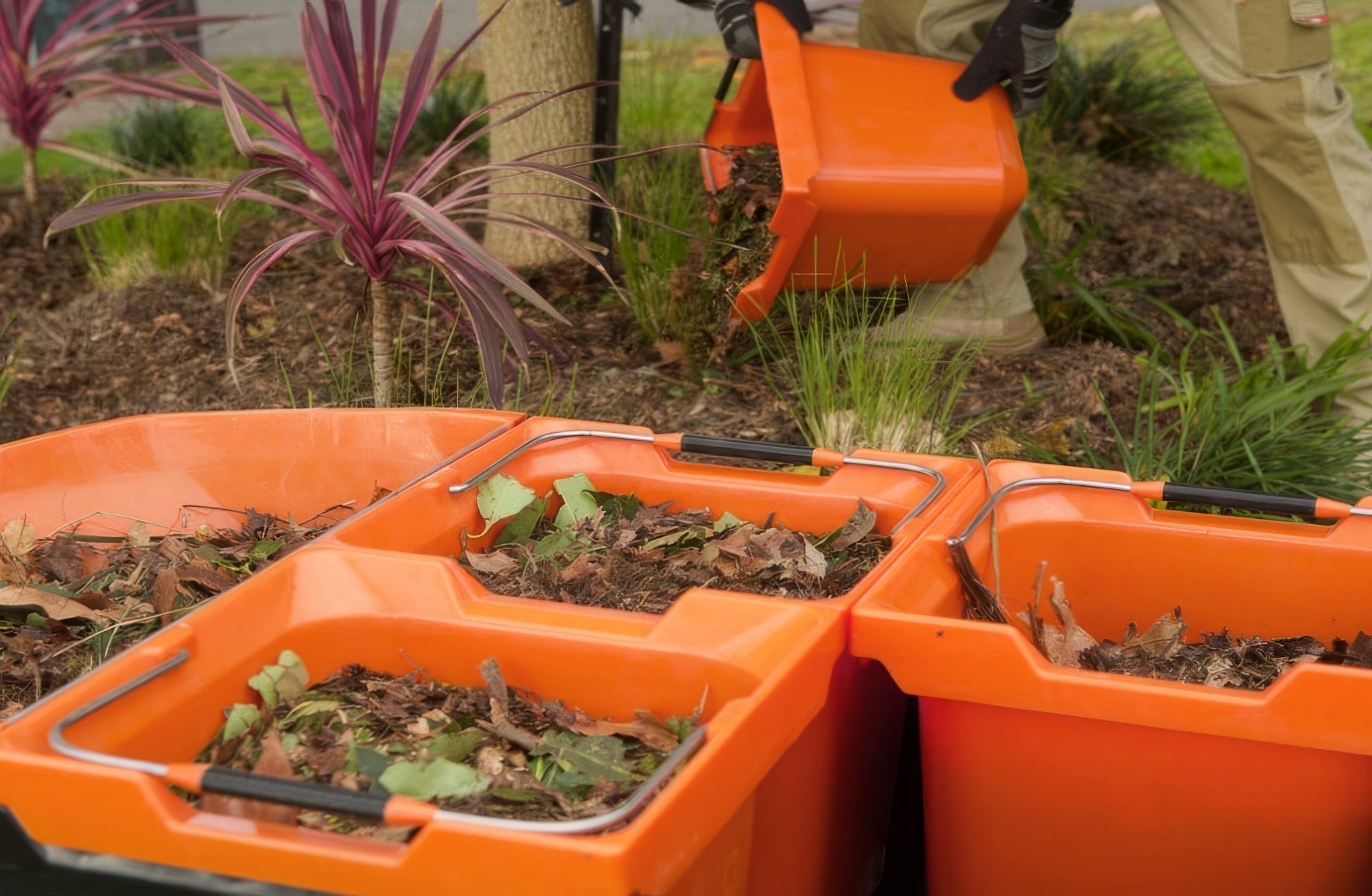 Bucket Barrow Pro
