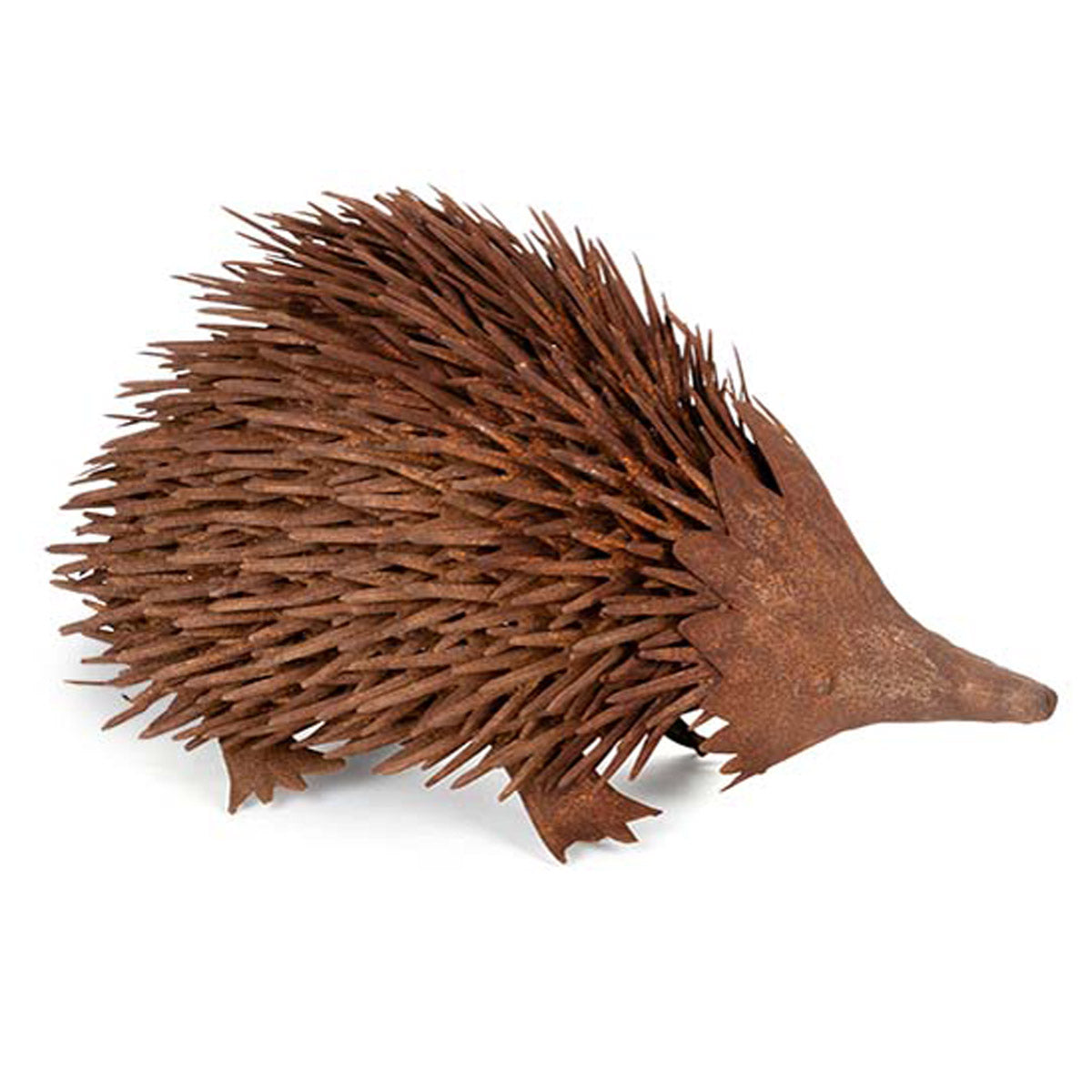 Echidna Large – Rust
