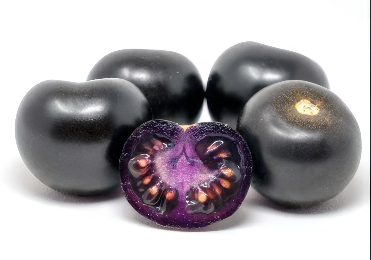 Tomato Purple Bliss