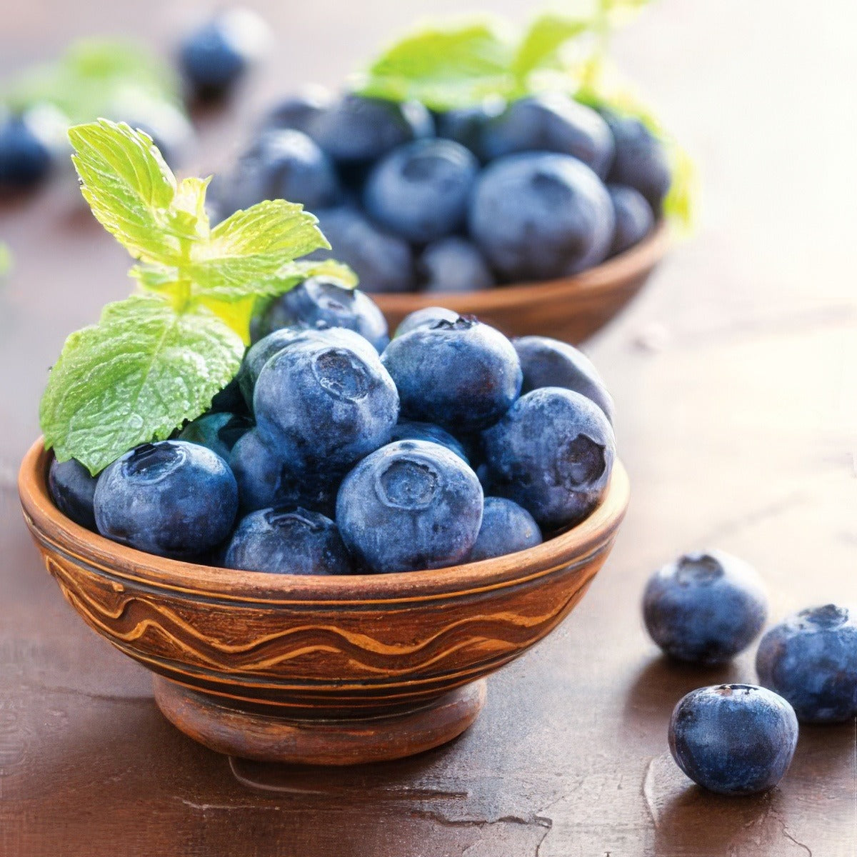 Blueberry Blue Rose 2019 Pplblubro - Garden Express Australia
