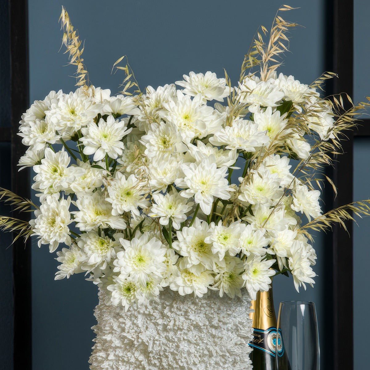 Chrysanthemum Pastela Cava - Garden Express Australia