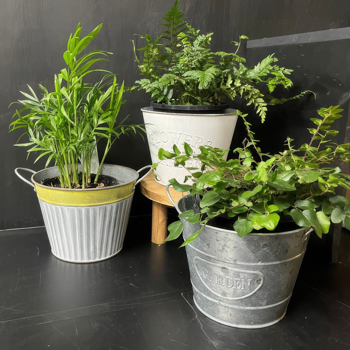 Tin Pot Set Of Three - Garden Express Australia