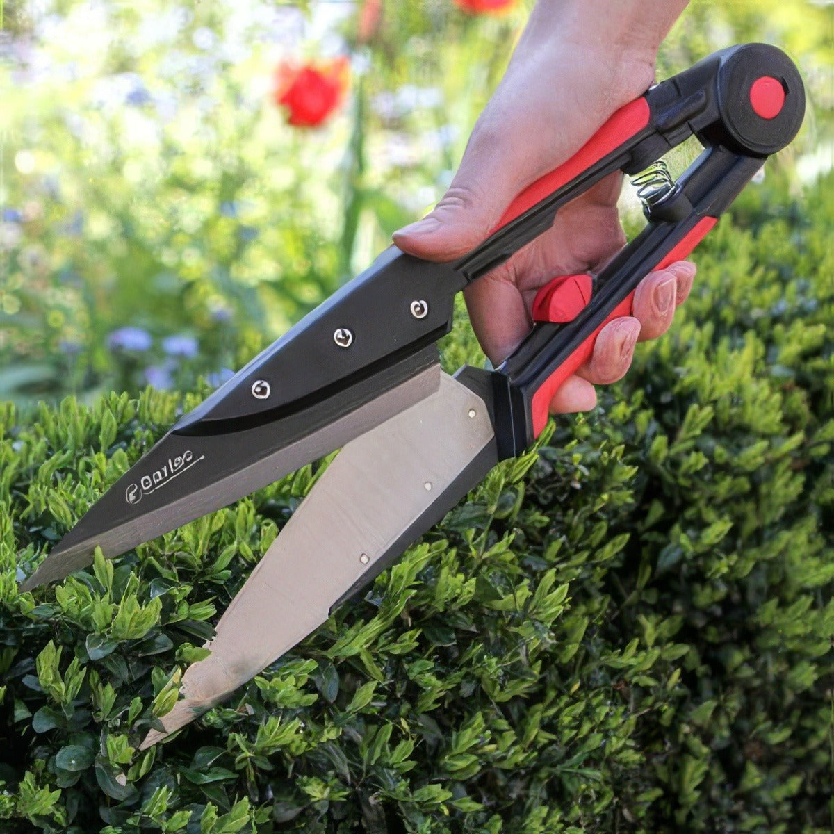 Darlac Expert Topiary Shear Accdarets - Garden Express Australia