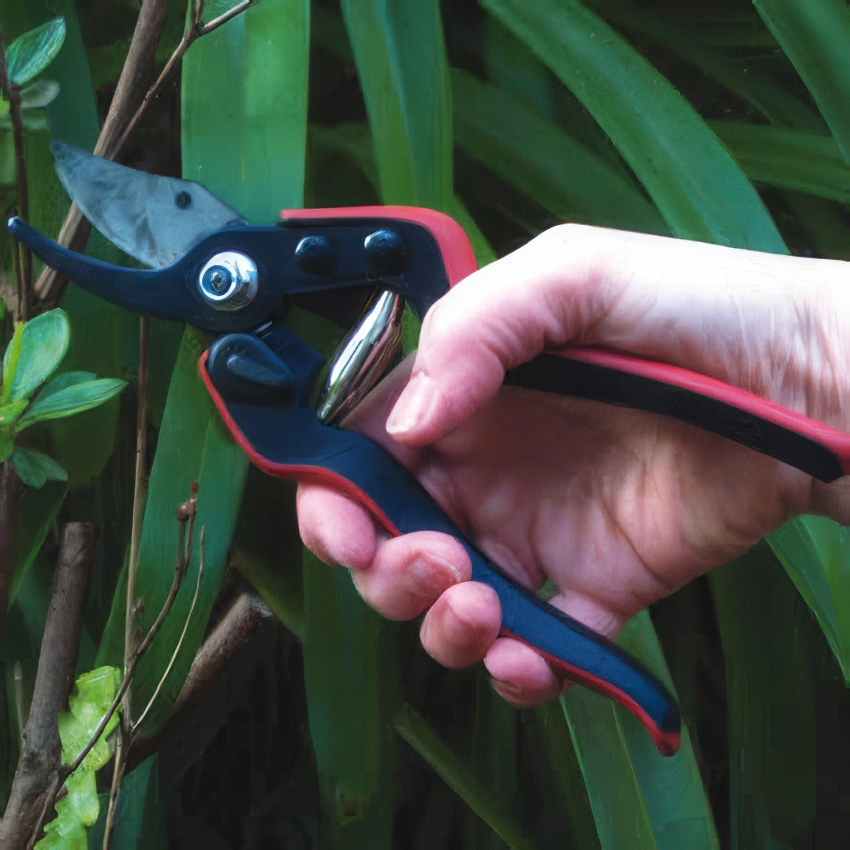 Felco 160s Essential Pruner 09 - Garden Express Australia