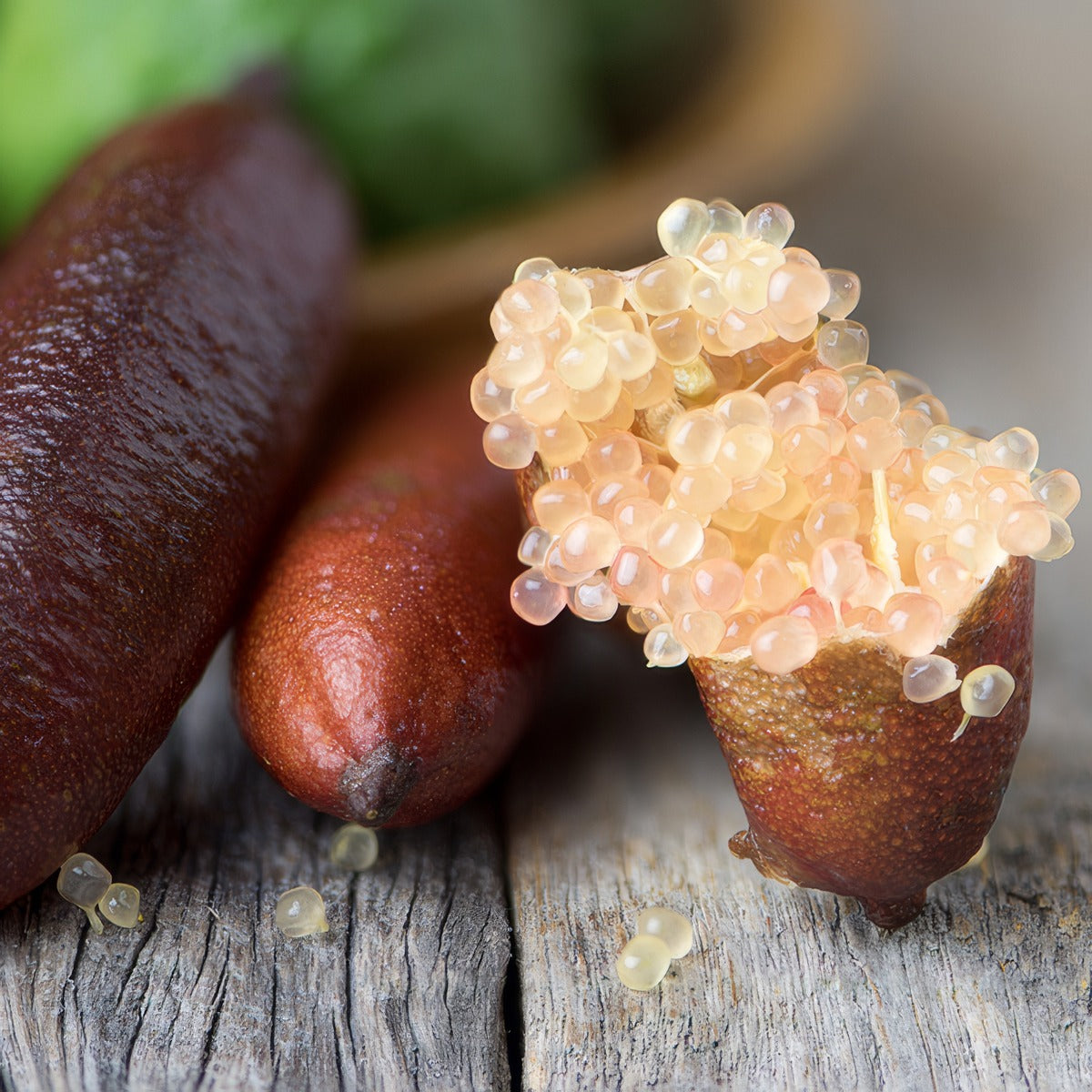 Finger Lime Pink Ice P18fingpic - Garden Express Australia