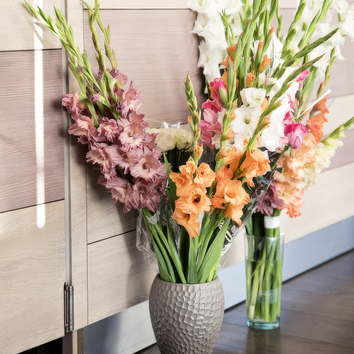 Gladioli Mixed Vase 2024 Pkglamxd - Garden Express Australia