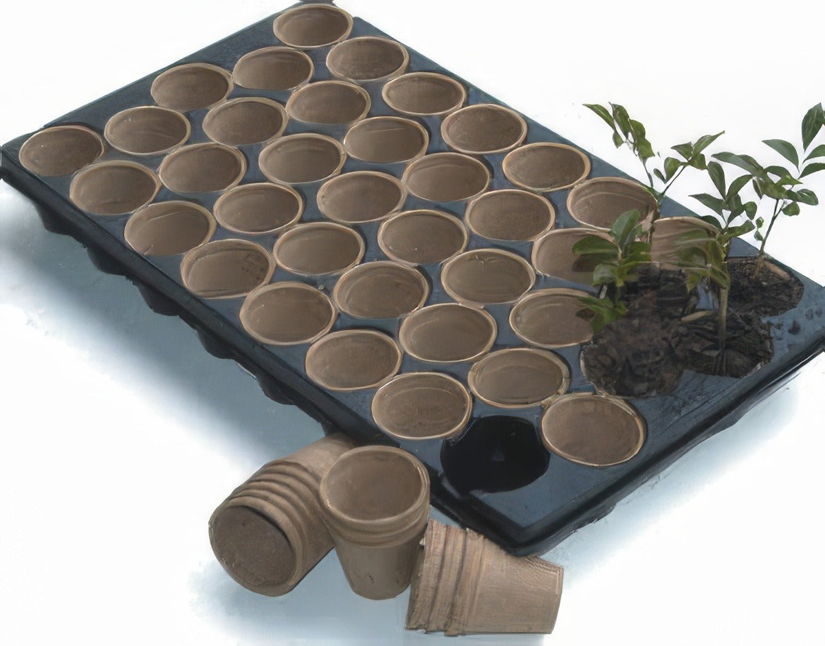 Jiffy Tray With Pots - Garden Express Australia