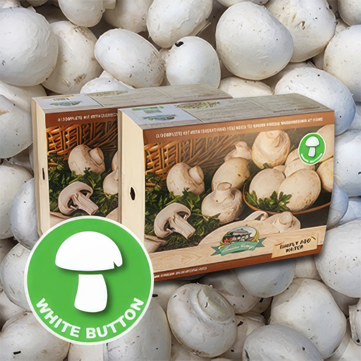 Mushroomkits White - Garden Express Australia