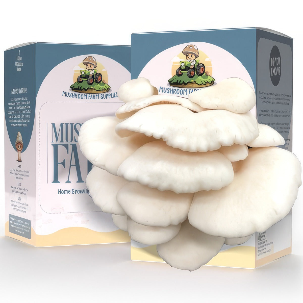White Oyster Mushroom Kit Kitmuswoy - Garden Express Australia