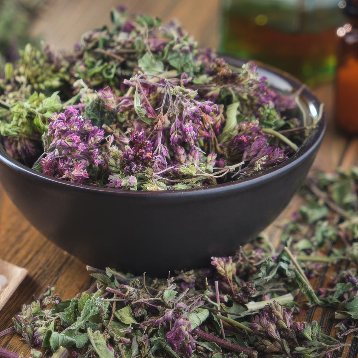 Oregano Common Pplheroco - Garden Express Australia