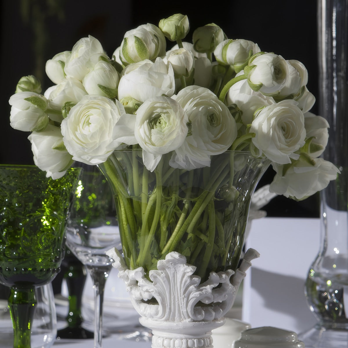 Ranunculi F1 White 3 Pkranfwh 2026 - Garden Express Australia