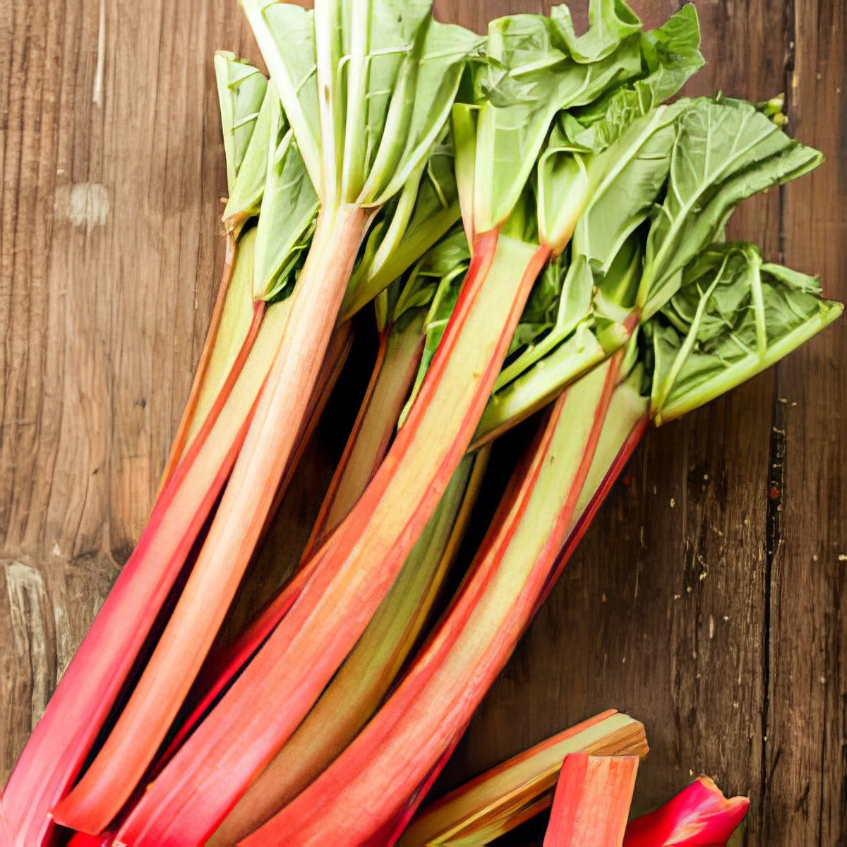 Rhubarb Giant Victoria Pkrhugvi - Garden Express Australia