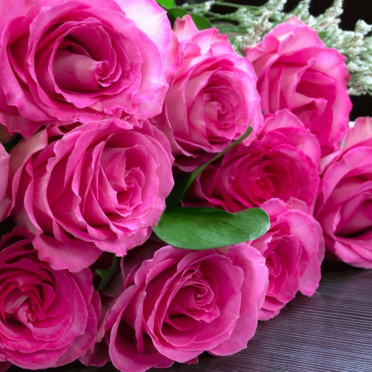 Delbard Rose Belle Parfume Rosdbpf - Garden Express Australia