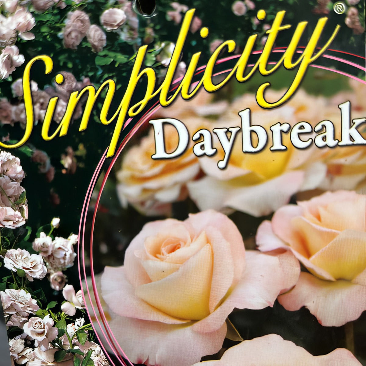 Daybreak Label - Garden Express Australia
