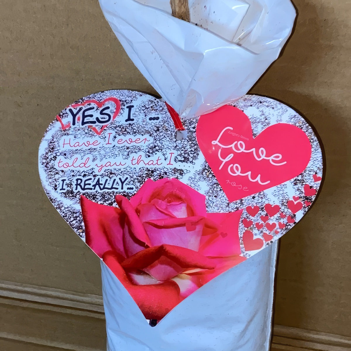 Rose Yes I Love You Roshyil 2 - Garden Express Australia