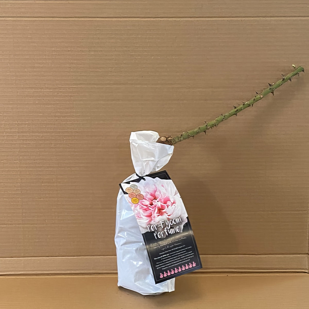 Modshrub Per Fyoom Perfume Rosmsppf 1 - Garden Express Australia