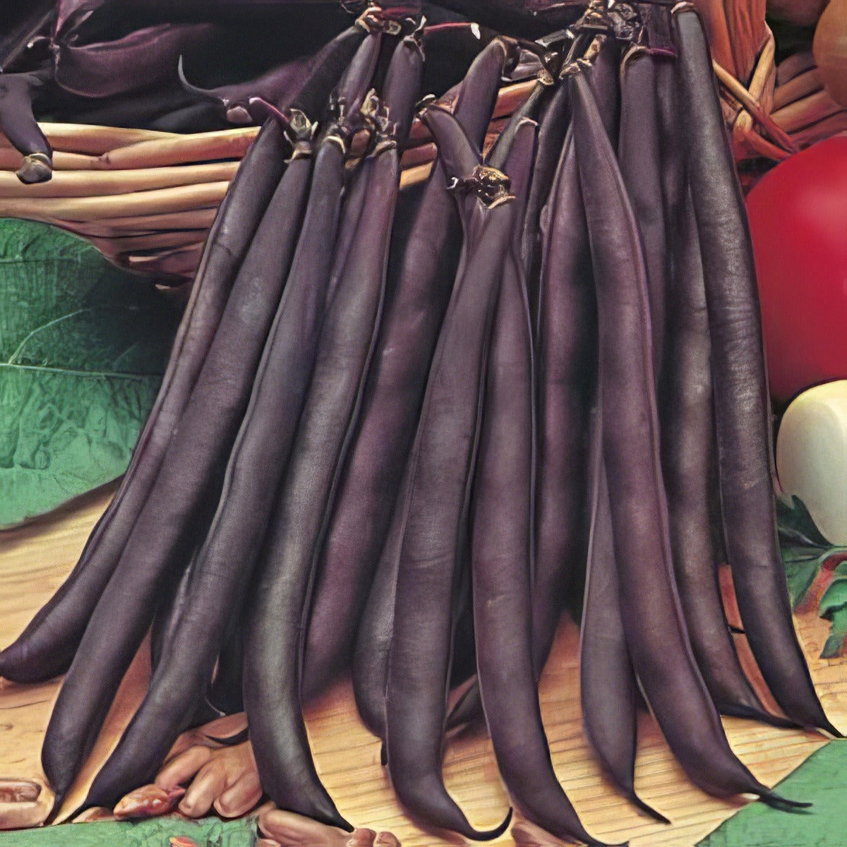 Climbing Bean Purple King 25g Pk 16 - Garden Express Australia