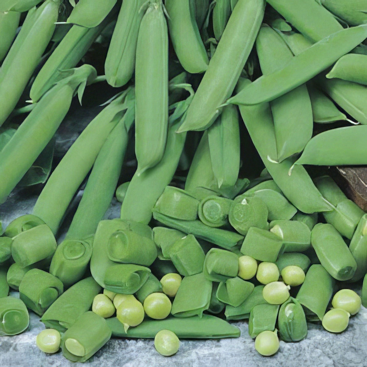 Seed Pea Sugar Snap Seepeassn - Garden Express Australia