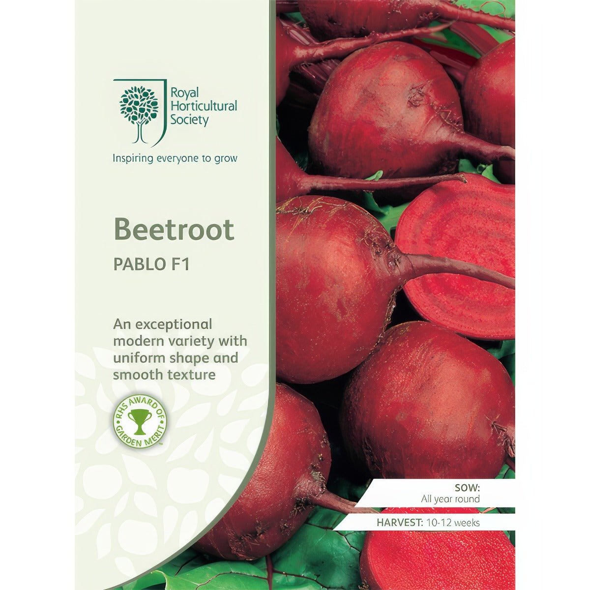 Seed Rhs Beetroot Pablo F1 Seerhsbpab - Garden Express Australia