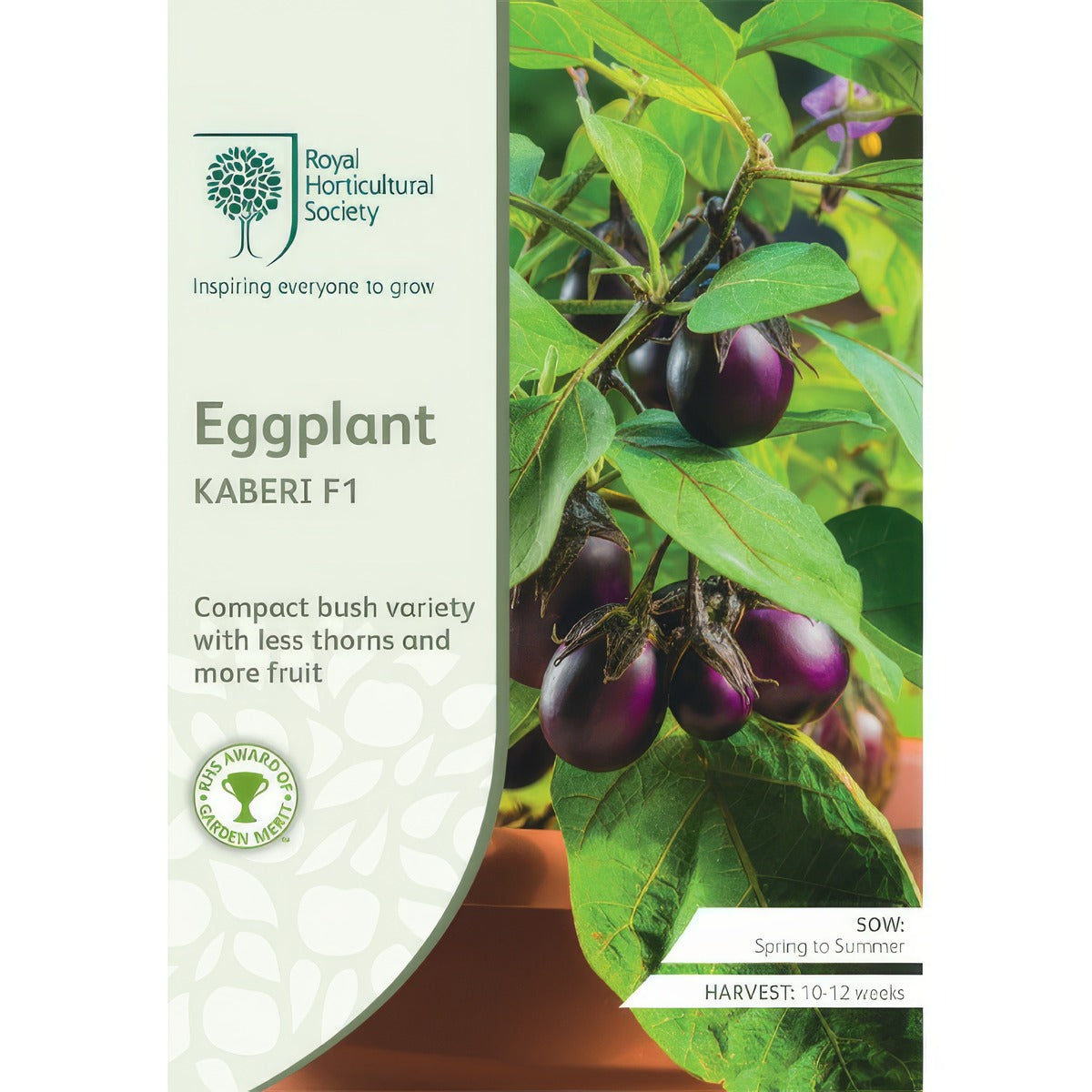 Seed Rhs Eggplant Kaberi F1 Seerhseka - Garden Express Australia