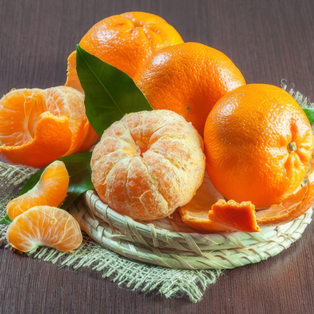 Mandarin Dwarf Emperor Treedwaemp - Garden Express Australia