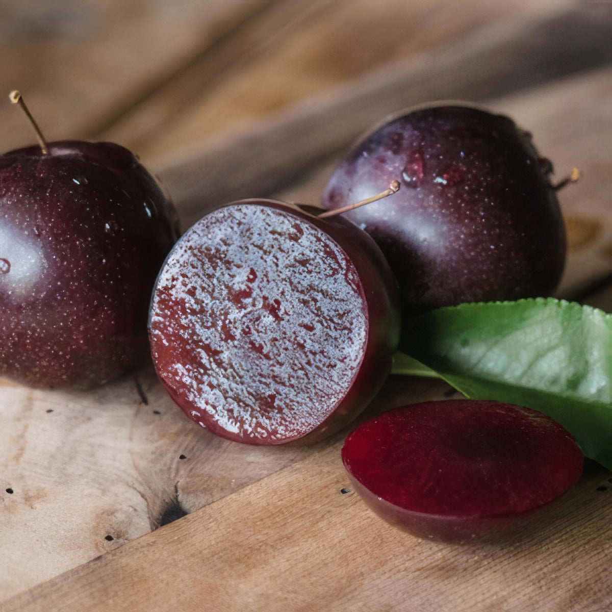 Dwarf Plum A Okay Trepludao Courtesy Plantnet - Garden Express Australia