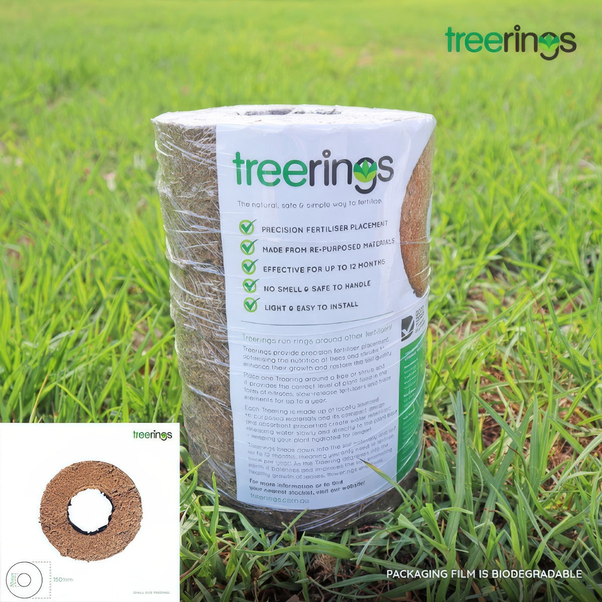 Treerings Small Pack Of 6 Acctrrn6 - Garden Express Australia