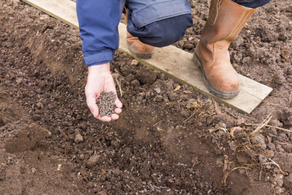 Liquid vs. Solid Fertilizer 
