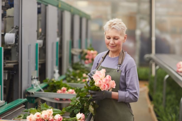 Roses Diseases