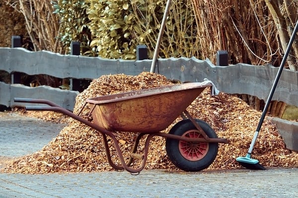 Preparing Your Garden For Spring