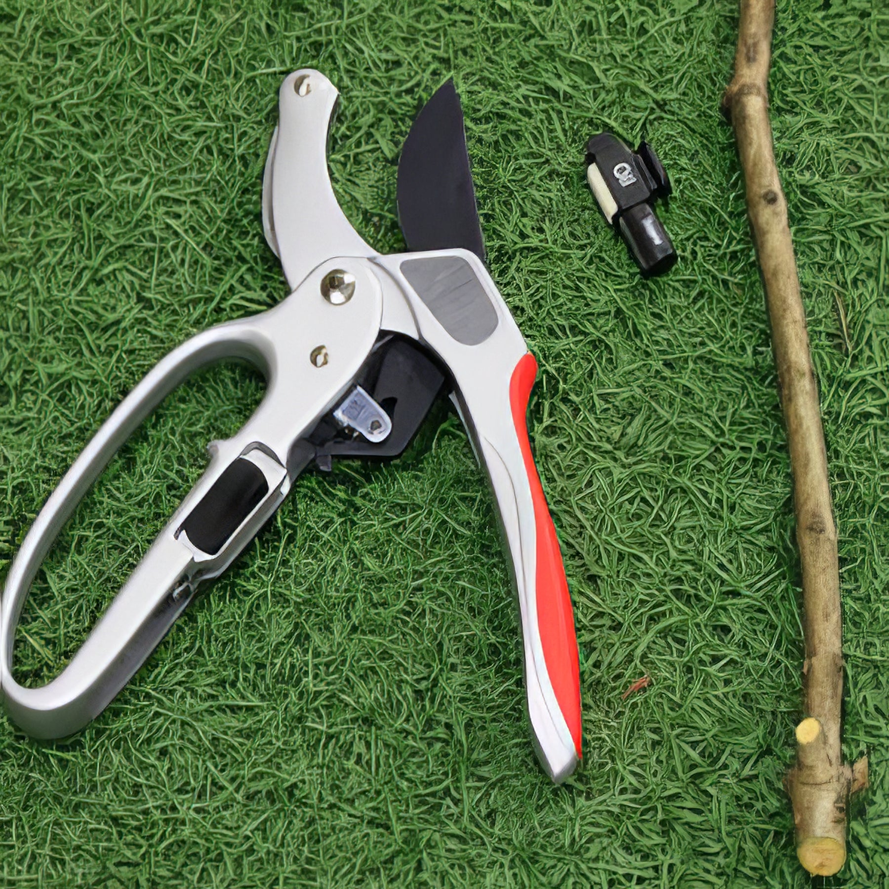 Assorted Tools - Collection Image - Garden Express