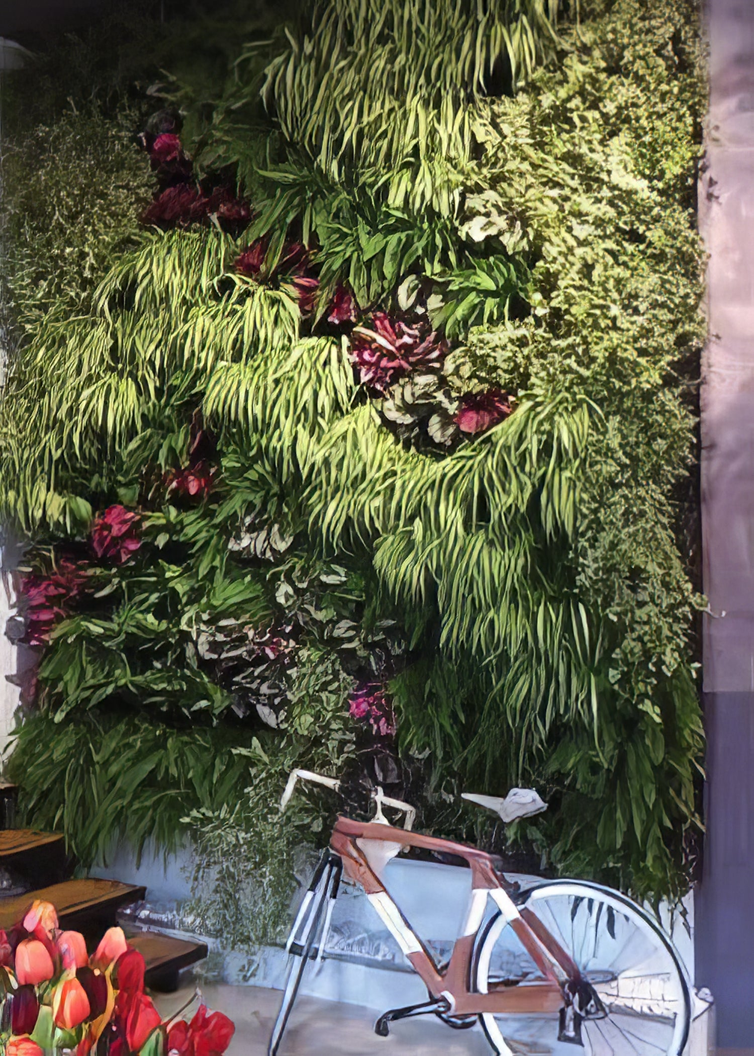 Atlantis Wall Garden / Vertical Garden - Collection Image - Garden Express