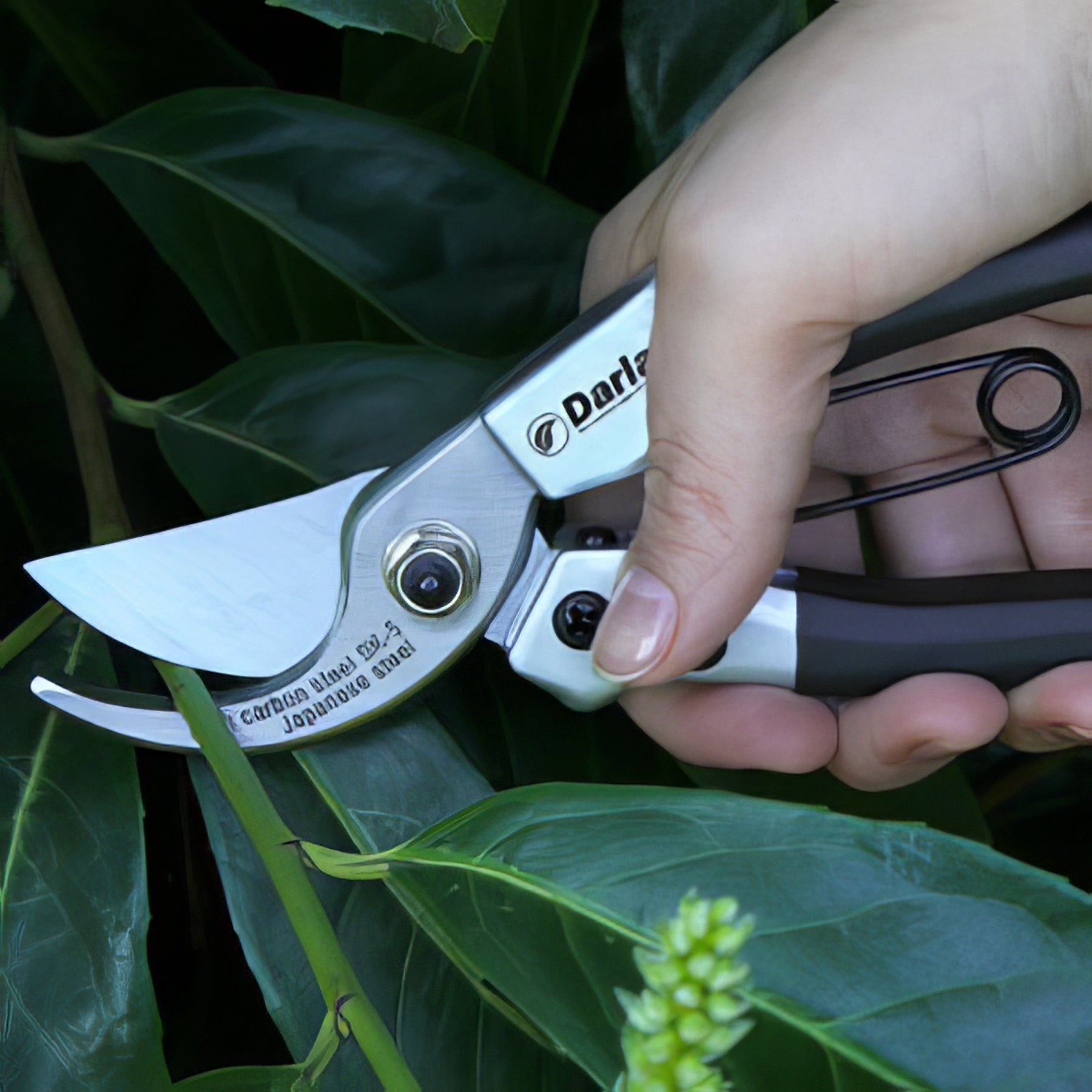 Darlac Tools - Collection Image - Garden Express