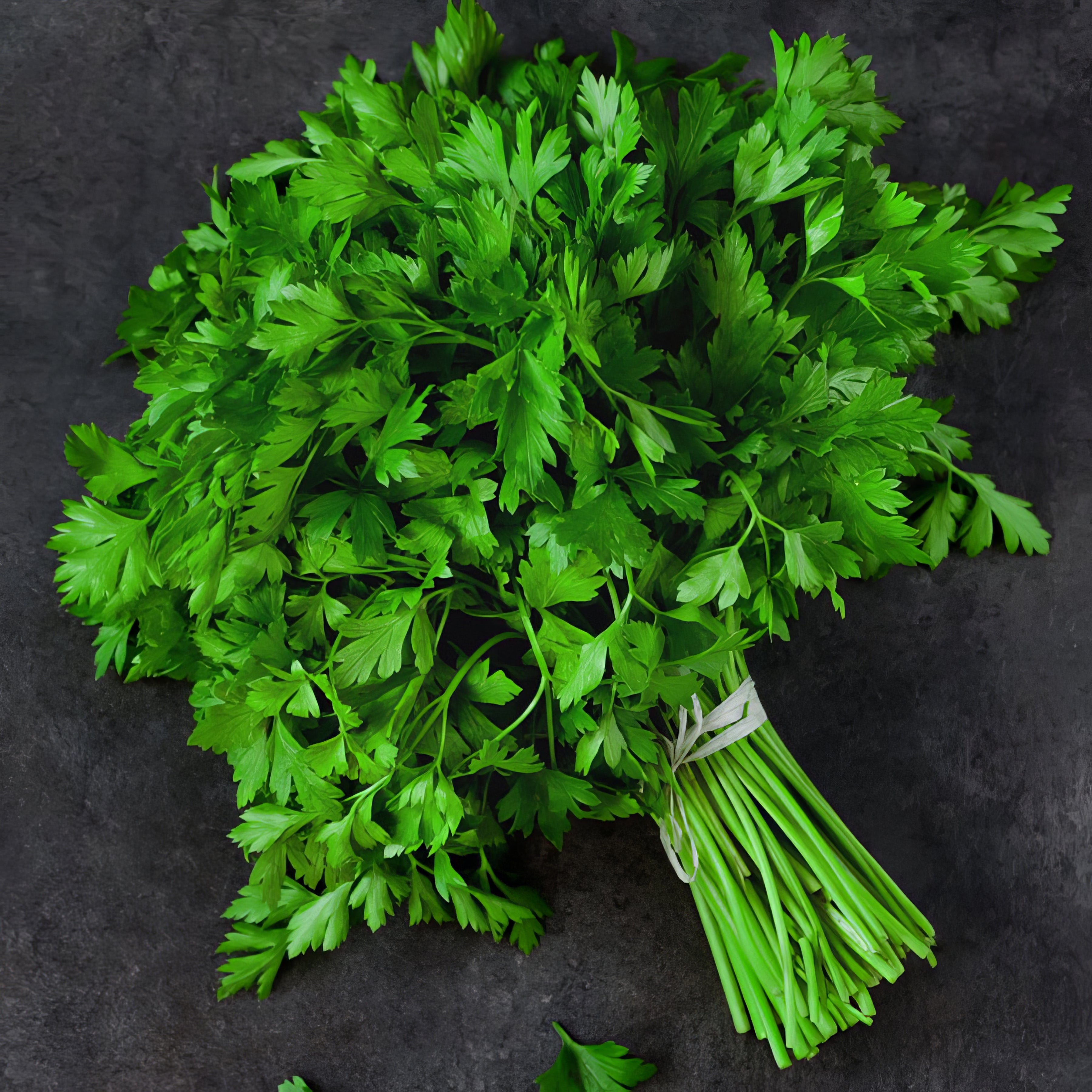 Herb Seeds - Collection Image - Garden Express