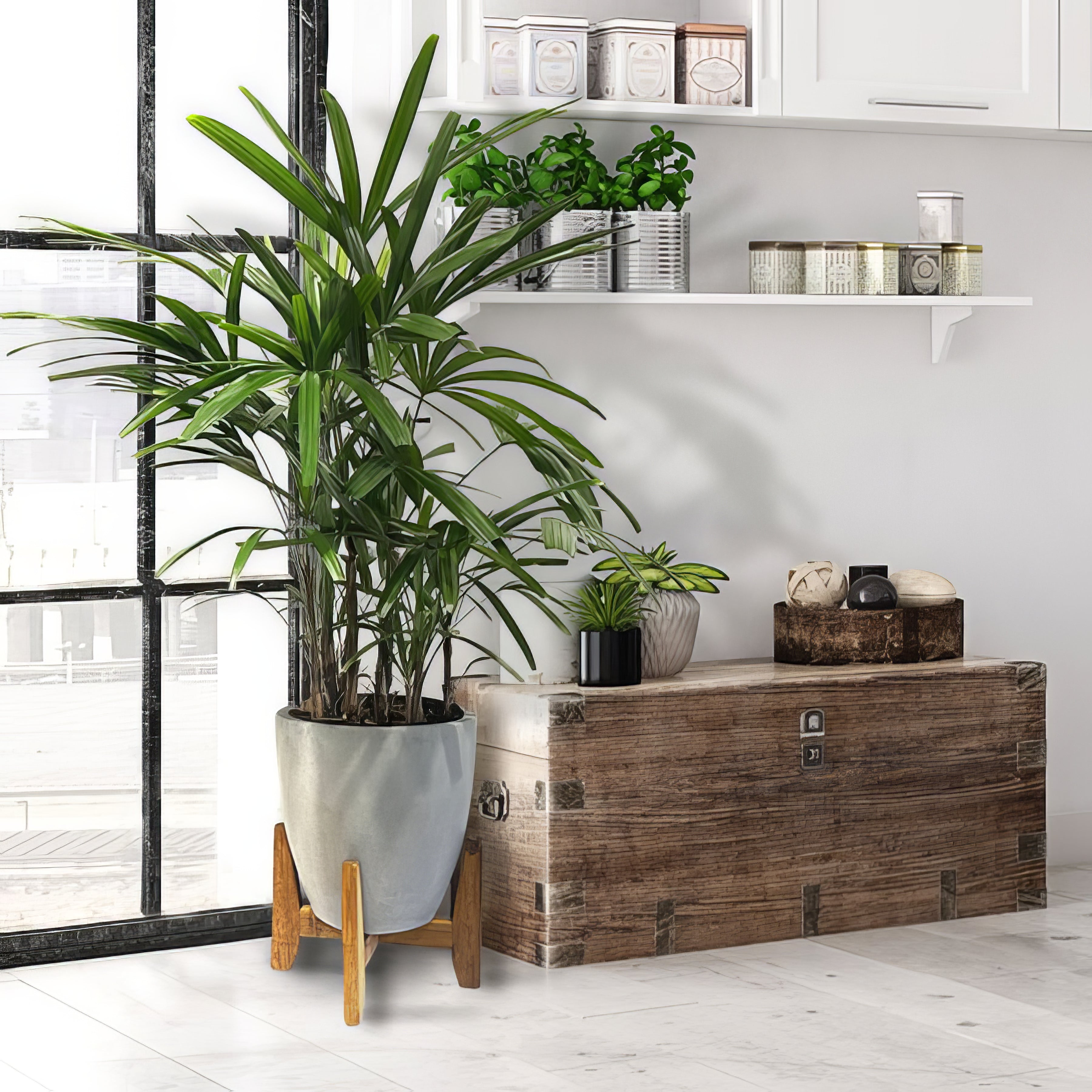 Pots and Baskets - Collection Image - Garden Express