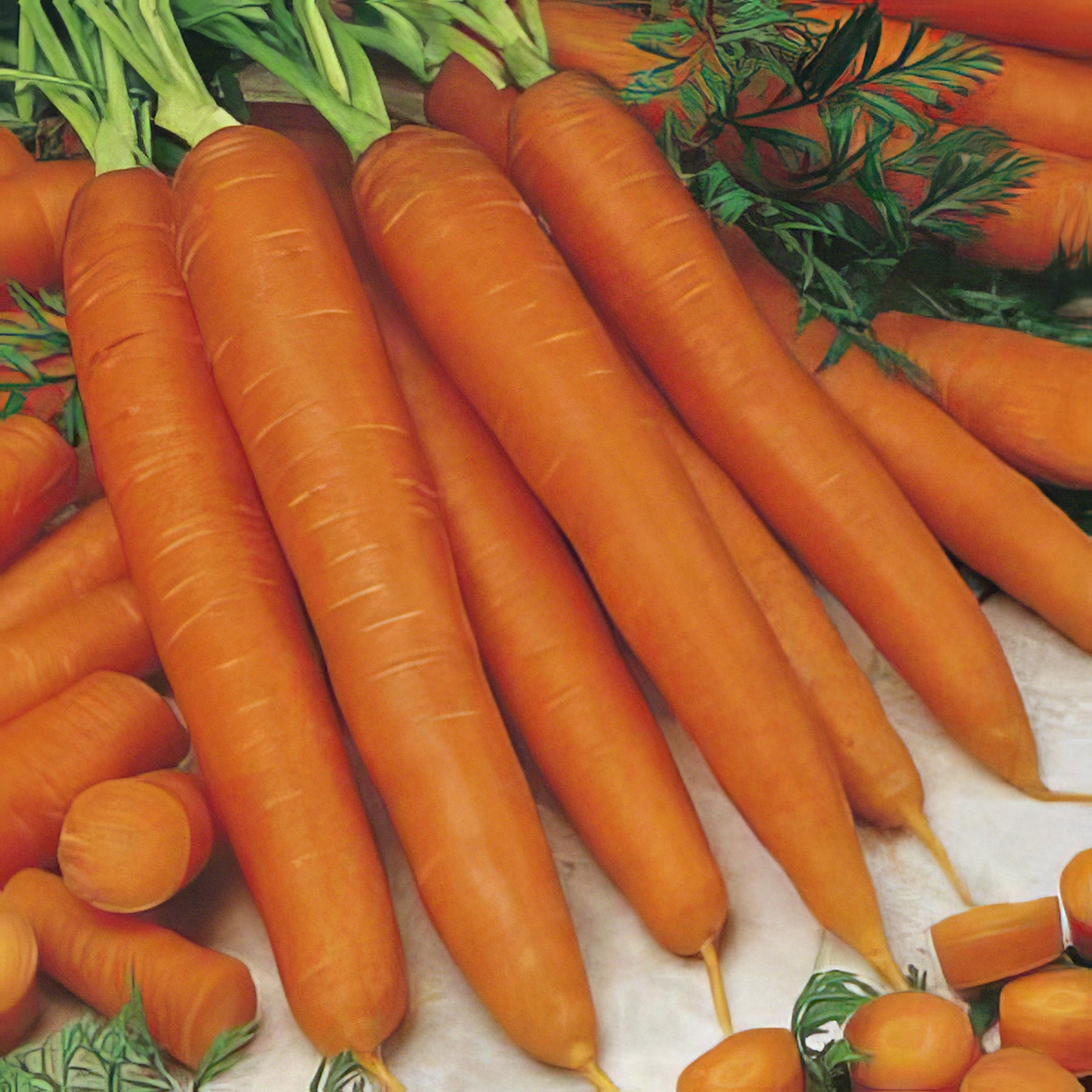 Salad Vegetable Seeds - Collection Image - Garden Express