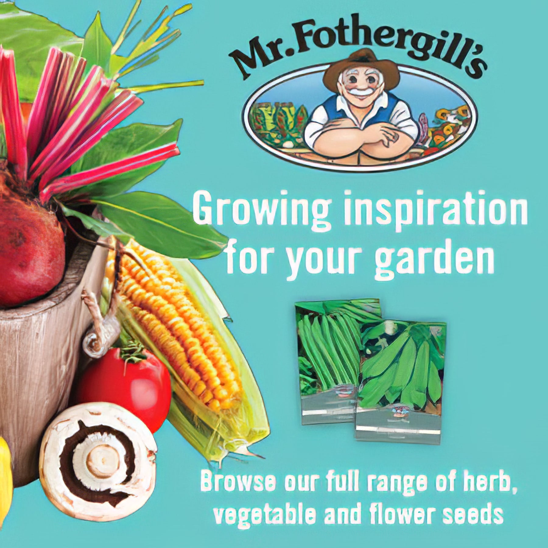Seeds - Collection Image - Garden Express