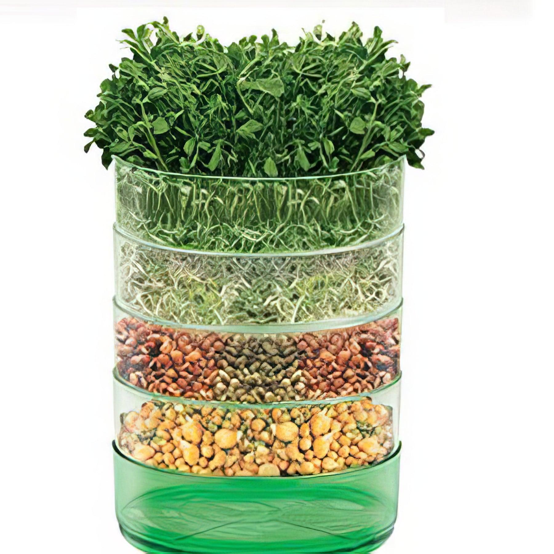 Sprouts & Microgreens - Collection Image - Garden Express