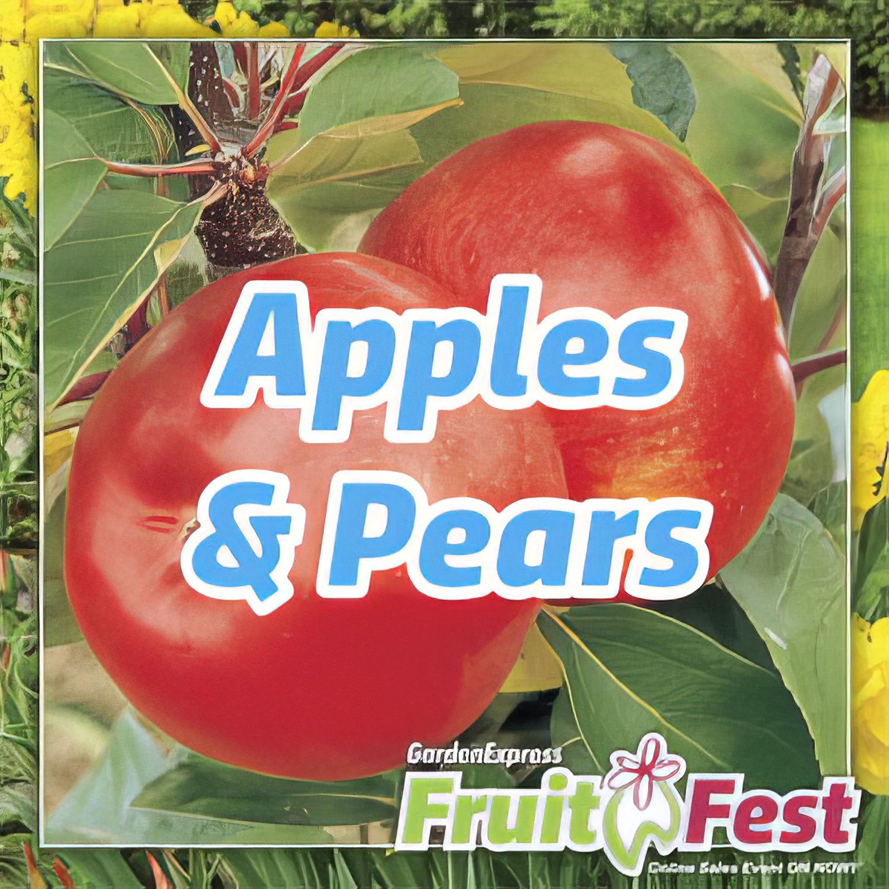 Trees - Apples & Pears - Collection Image - Garden Express
