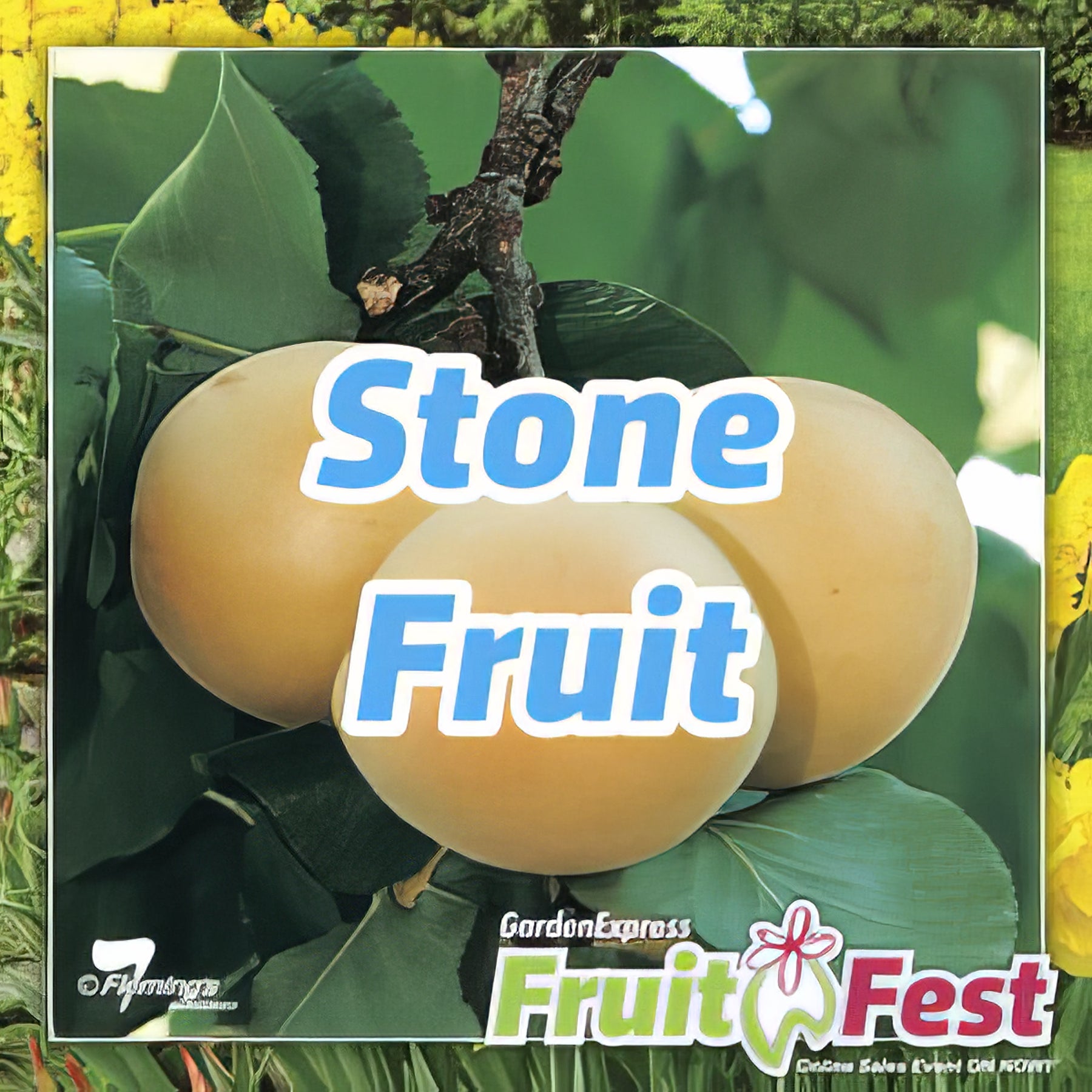 Trees - Stone Fruit - Collection Image - Garden Express